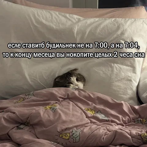 Будильник на 7:04 ради двух часов сна