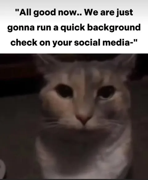 Background Check Cat