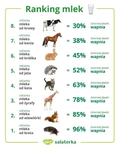 Ranking mleka zwierząt