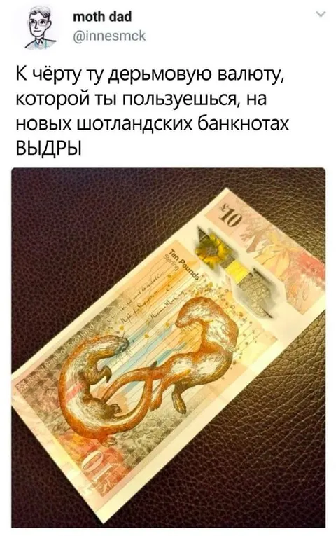 Шотландские деньги с выдрами