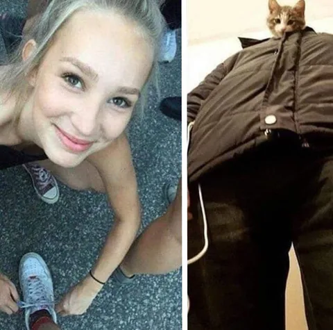 Кот вышел на улицу