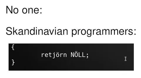 Scandinavian Programmers Use Retjörn