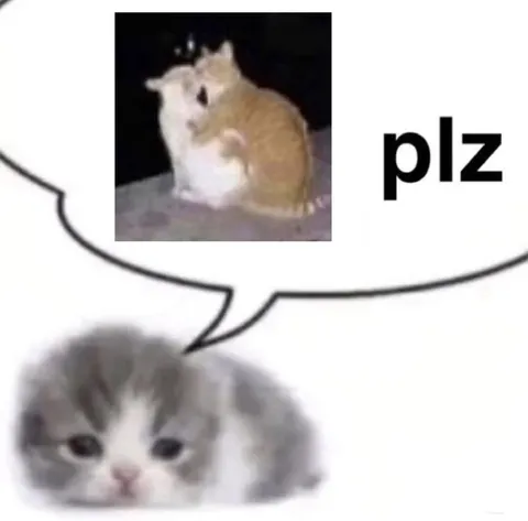 Cute Cat Says Plz