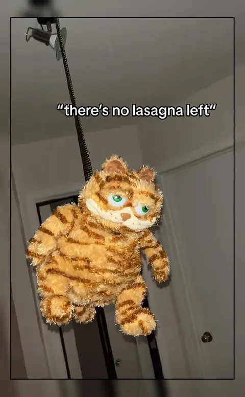 There’s No Lasagna Left