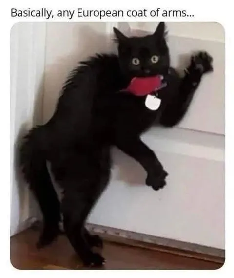 European Coat of Arms Cat