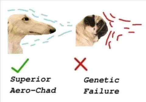 Superior Aero-Chad vs Genetic Failure