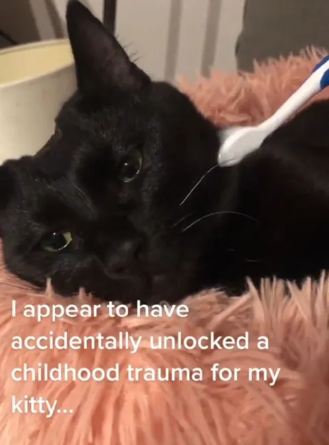Cat Unlocks Childhood Trauma
