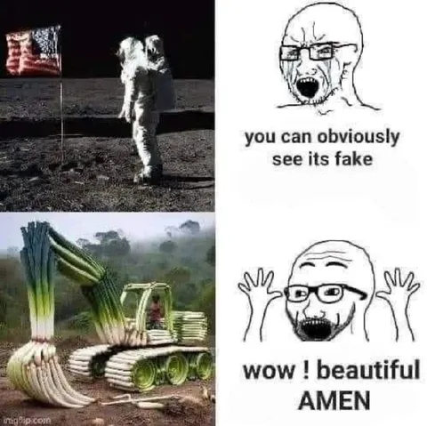 You Can Obviously See Its Fake