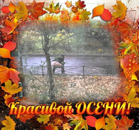 Красивой осени с листьями