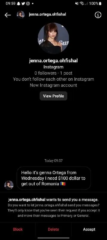 Jenna Ortega Romania Scam DM