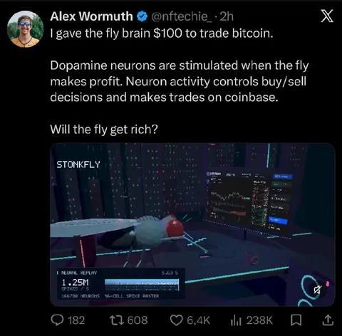 Fly Trading Bitcoin With Its Brain