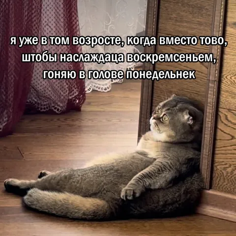 Воскресенье уже не радует