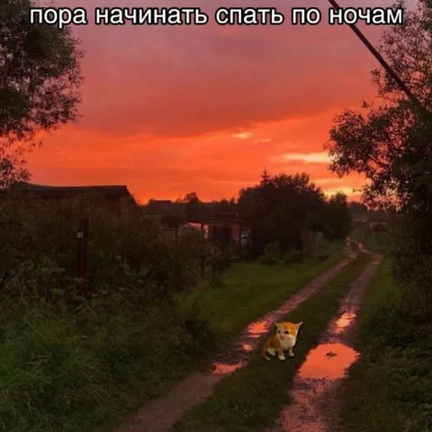 Пора спать по ночам