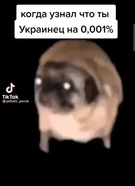 Украинец на 0,001%