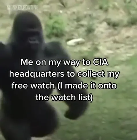 Gorilla on the CIA Watch List