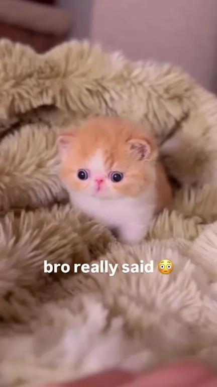 Bro Really Said It