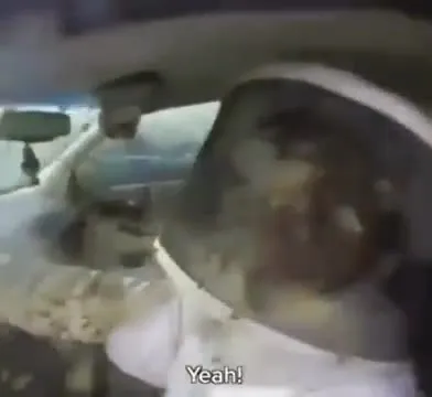 Car Full of Bees