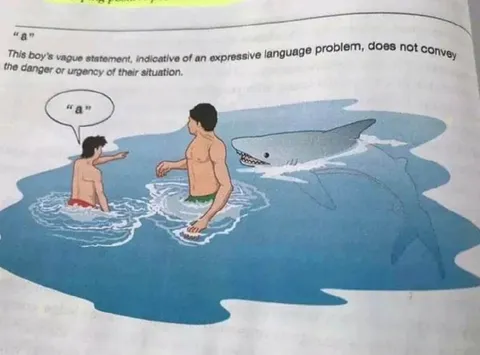 A Shark Is Right There