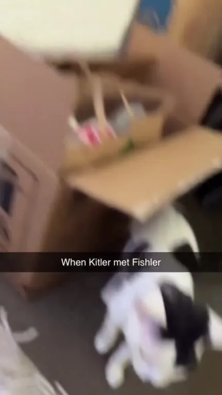 When Kitler Met Fishler