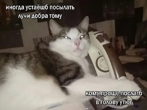 Когда проще послать утюгом