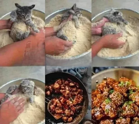 Кот превращается в жареную курицу