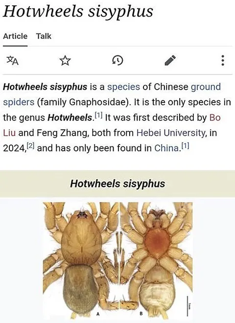 Hotwheels Sisyphus Spider