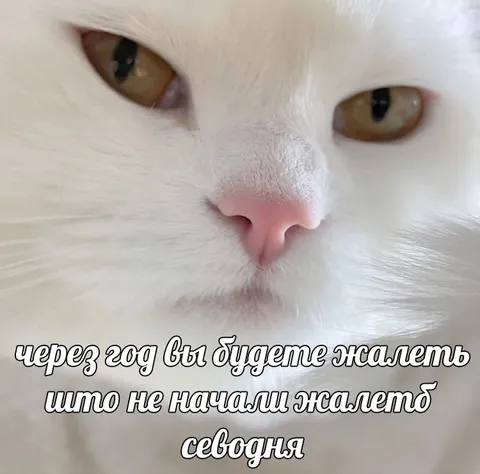 Начни жалеть сегодня