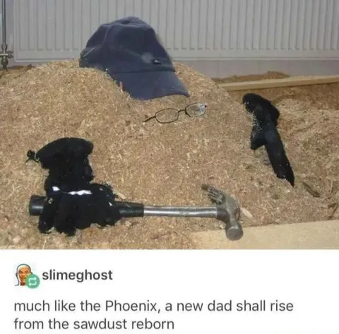 New Dad Rises from Sawdust