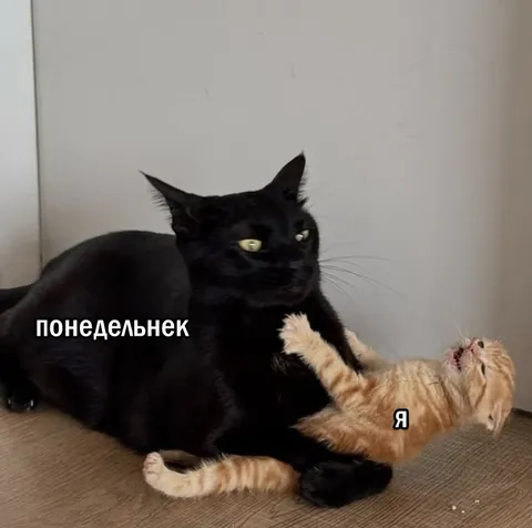 Я в понедельник