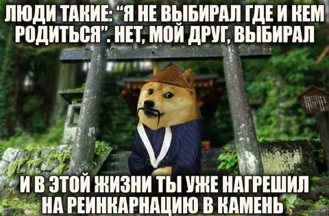 Реинкарнация в камень