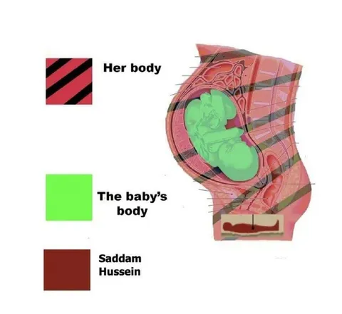 Saddam Hussein in the Womb
