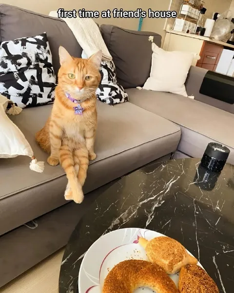 First Time at Friend's House