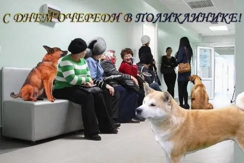 С Днем отечеств в поликлинике