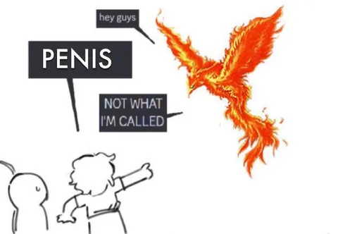 Phoenix Says Not Penis
