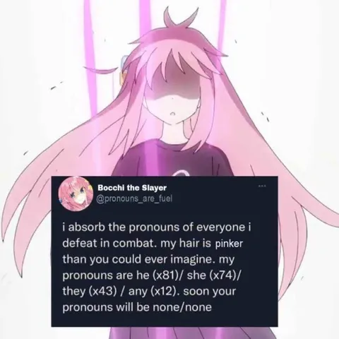 I Absorb Your Pronouns