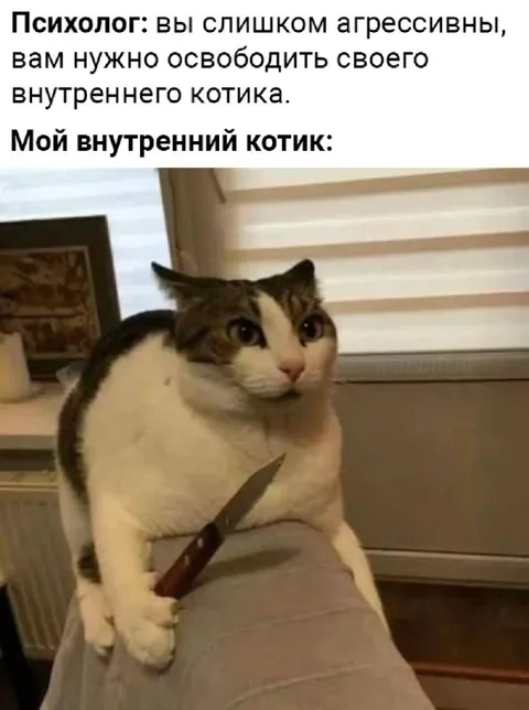 Мой внутренний котик с ножом