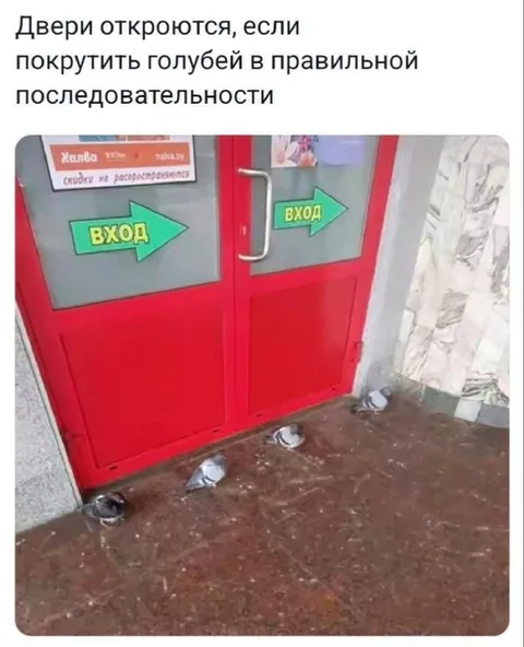 Голуби открывают двери