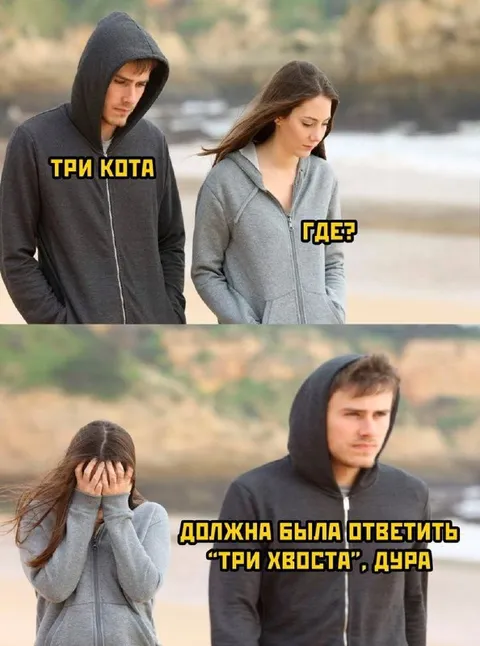 Три кота, где?