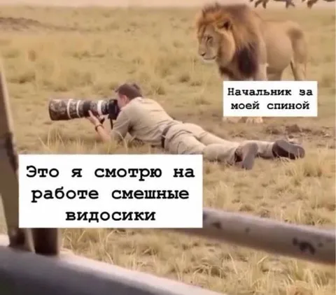 Начальник за моей спиной