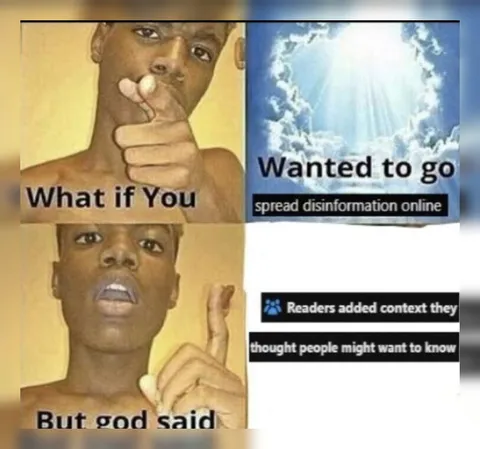 Wanted to Spread Disinformation