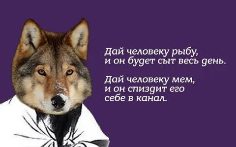 Дай человеку мем