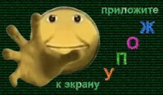 Приложите жопу к экрану