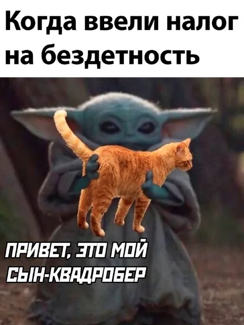 Налог на бездетность и сын-квадробер