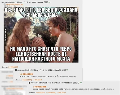 Ребро Адама и мягкое небо