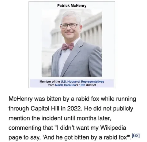 Rabid Fox Wikipedia Page