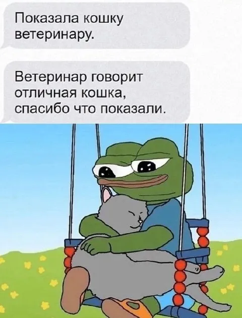 Отличная кошка у ветеринара