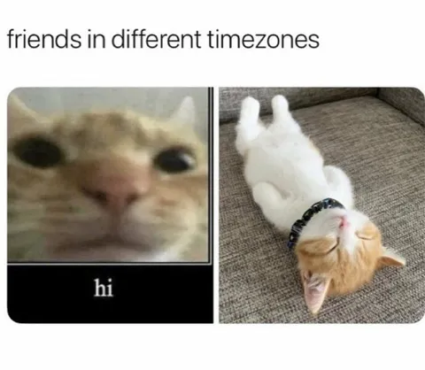 Friends in Different Timezones