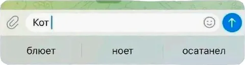 Кот блюет, ноет или осатанел