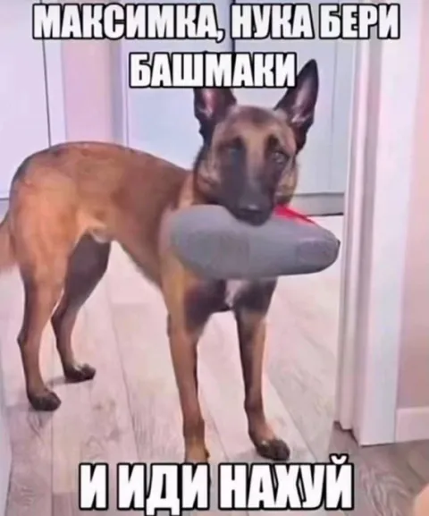 Максимка, бери башмаки
