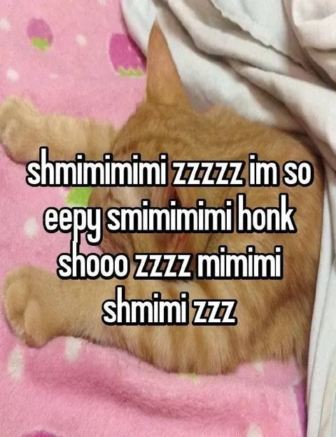 Sleepy Cat Goes Honk Shoo